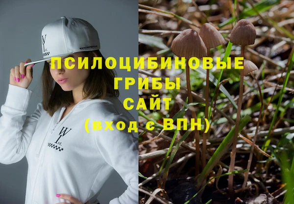 стаф Лагань