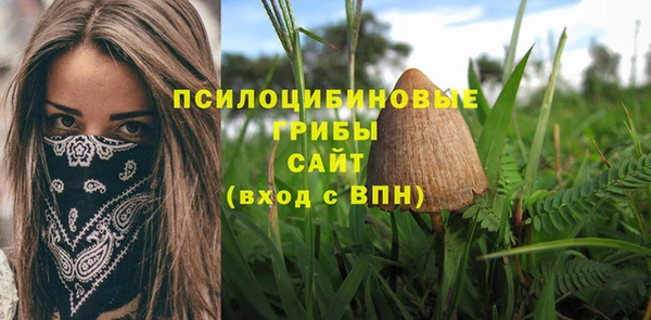 таблы Лабытнанги