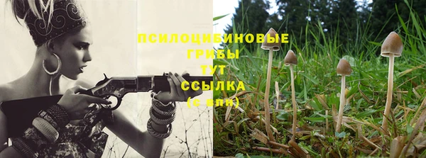 таблы Лабытнанги