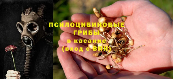 стаф Лагань