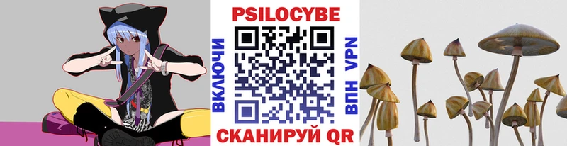 Купить где  Пестово  Псилоцибиновые грибы прущие грибы 